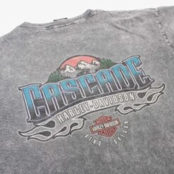 Harley Davidson 'Cascade' T-Shirt -Carhartt || Harley Davidson Shop IMG 0354 cut
