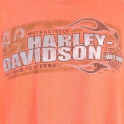 Harley Davidson 'Savannah' T-Shirt -Carhartt || Harley Davidson Shop IMG 0610 6399c773 421e 4ce2 9506 d99f2978a0b1