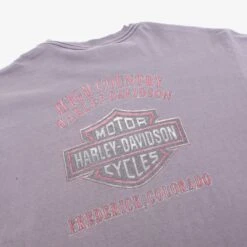 Harley Davidson 'Colorado' T-Shirt -Carhartt || Harley Davidson Shop IMG 1902 cut