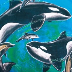 Vintage 'Dolphin' T-Shirt -Carhartt || Harley Davidson Shop IMG 3209 bd007959 7964 4adc b362 d498bea9f61d