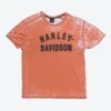 Harley Davidson 'NYC' T-Shirt -Carhartt || Harley Davidson Shop IMG 3786 2 cut