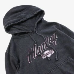 Harley Davidson Manchester Hoodie -Carhartt || Harley Davidson Shop IMG 5506 cut 0b10f437 8210 40aa aff0 1dcd3899f0c4
