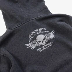 Harley Davidson Manchester Hoodie -Carhartt || Harley Davidson Shop IMG 5511 cut 45a5969f 768d 4014 a427 ba4e4bd655d6