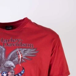 90s Harley Davidson 'Livermore' T-Shirt -Carhartt || Harley Davidson Shop IMG 6321 2