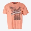 Harley Davidson 'Chambersburg' T-Shirt -Carhartt || Harley Davidson Shop IMG 6987 cut