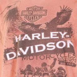 Harley Davidson 'Chambersburg' T-Shirt -Carhartt || Harley Davidson Shop IMG 6989 4a7862ea 1eb6 4cb1 9daf fbef717a335c