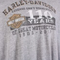 Harley Davidson 'Georgia' T-Shirt 8 Harley Davidson 'Georgia' T-Shirt -Carhartt || Harley Davidson Shop IMG 8012 d5dedc9b f740 41e5 af5c 71c15a874fb1