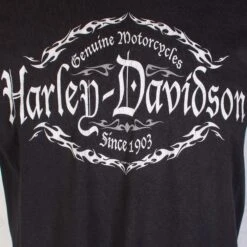 Harley Davidson 'Texas' T-Shirt -Carhartt || Harley Davidson Shop IMG 8061 855c3713 ccee 4ecd ab99 d344503c7a95